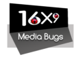 16×9 Media Bugs – Corporate video makers in Pune